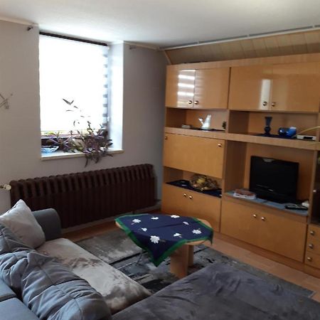 Ferienwohnung Auf Dem Land Rochlitz Extérieur photo