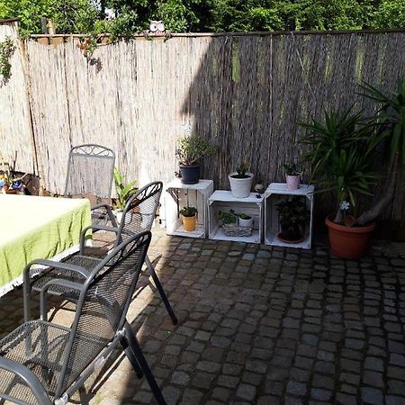 Ferienwohnung Auf Dem Land Rochlitz Extérieur photo