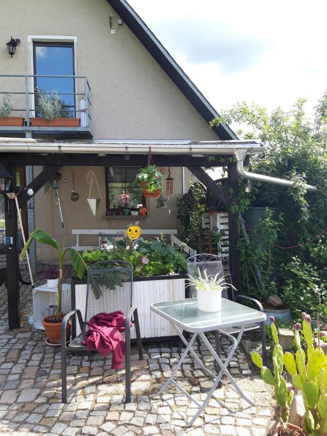 Ferienwohnung Auf Dem Land Rochlitz Extérieur photo