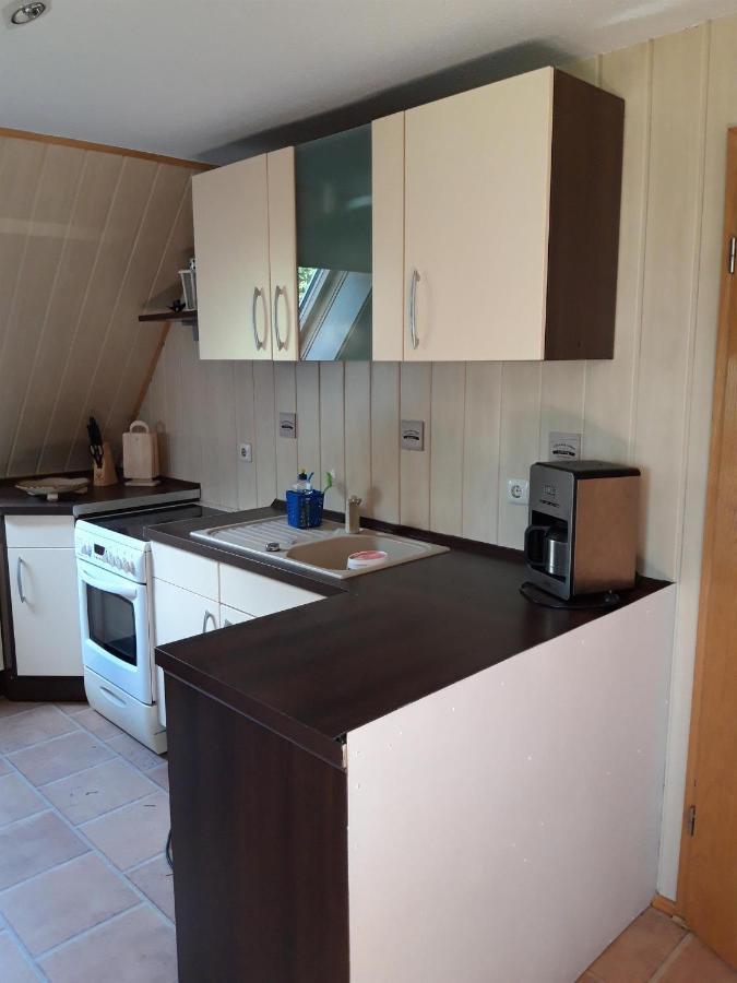 Ferienwohnung Auf Dem Land Rochlitz Extérieur photo