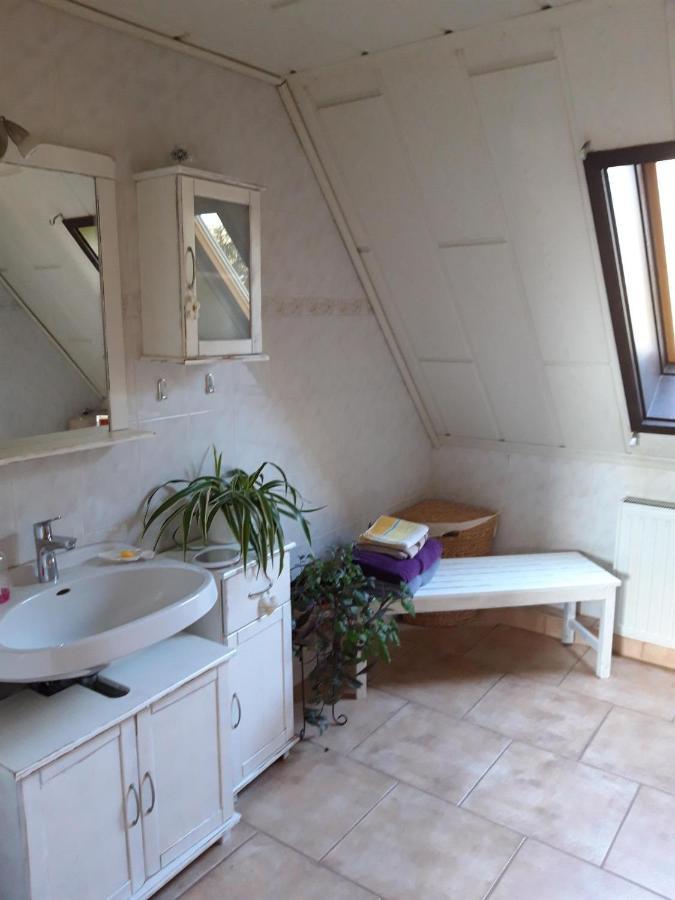 Ferienwohnung Auf Dem Land Rochlitz Extérieur photo