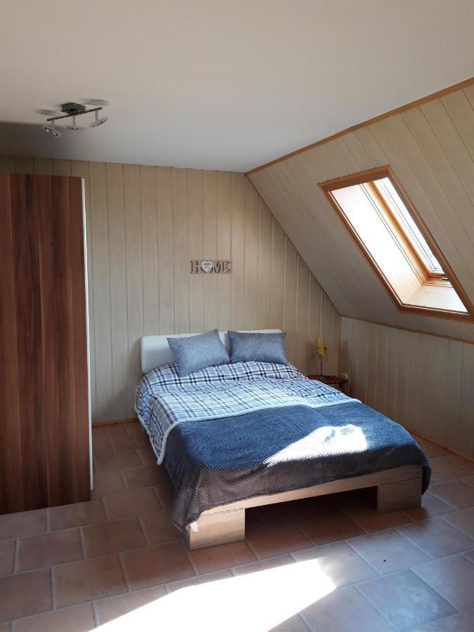 Ferienwohnung Auf Dem Land Rochlitz Extérieur photo